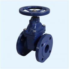 Задвижка чугунная 30ч39р - СНАБКОМПЛЕКТ